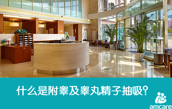 附睾及睾丸精(jīng)子抽吸,PESA,TESA