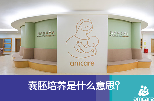 囊胚培养是什么意思,养囊