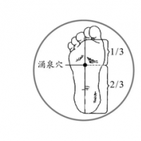 春天不养卵，后悔一整年！快试试这6个中(zhōng)医(yī)养卵妙招